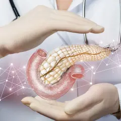 Dłonie w rękawiczkach otaczają trzustkę i dwunastnicę, symbolizując opiekę nad produkcją hormonów, w tym kluczowego hormonu trzustki.