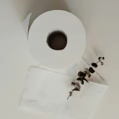 Rolka białego papieru toaletowego i gałązka z liśćmi na białym tle.