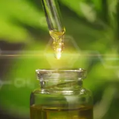 Jak używać olejku CBD: skuteczne metody i dawkowanie dla Ciebie
