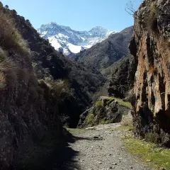 Camino de grava entre rocas altas, con pastos secos y montañas nevadas al fondo. Un sendero que parece la vereda de la estrella.