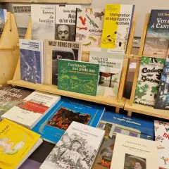 Exposition de livres, dont des titres de **les plus grandes maisons d'édition françaises**, sur des étagères en bois.