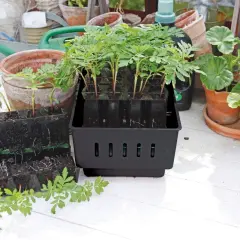 Små plantor i svarta odlingskuber, redo att planteras ut. En stor odlingslåda med flera plantor i, en annan med synliga rötter. En "rootmaster" för en lyckad start.
