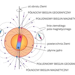 Ilustracja pokazuje, jak działa kompas: igła magnetyczna ustawia się wzdłuż linii pola magnetycznego Ziemi, wskazując biegun północny.