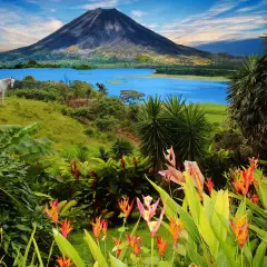 Un caballo blanco pastando cerca de un lago azul y un volcán imponente. ¡Un paisaje perfecto para viajar a Costa Rica!