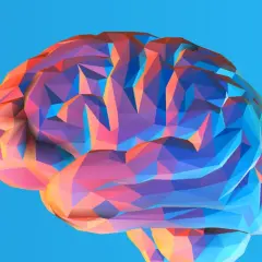 Wielobarwny, geometryczny mózg symbolizujący pamięć roboczą, unoszący się na błękitnym tle.