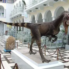 Dinozaur w Muzeum Geologicznym w Warszawie. W tle mamut i gabloty z eksponatami.