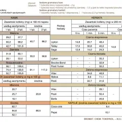 Ile mg kofeiny jest w kawie? Zaskakujące różnice w zawartości