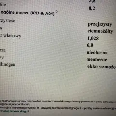 Wynik badania ogólnego moczu: urobilinogen lekko wzmożony (+). Pozostałe parametry w normie.