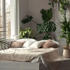 Un lit douillet dans une chambre remplie de verdure, avec un grand monstera dominant la scène.