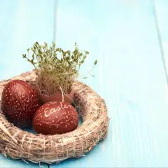 Wianek z rzeżuchą i pisankami, jedna z nich ozdobiona napisem "Easter".