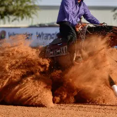 Un cheval de course race exécute un virage serré, soulevant un nuage de poussière rouge.