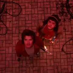 Steve i Dustin patrzą w górę, gotowi na ostateczną walkę w Stranger Things final. Ciemne macki wiją się na czerwonej posadzce.