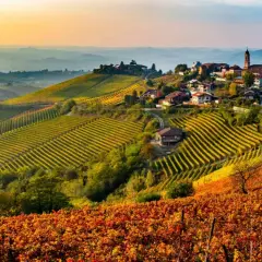 Colline dorate e arancioni dei vigneti nelle Langhe Monferrato, con un borgo arroccato e un campanile al tramonto.