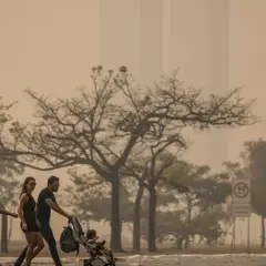 Gente camina bajo un cielo anaranjado, reflejo de las causas de la contaminación del aire. Árboles secos y edificios difuminados completan la escena.