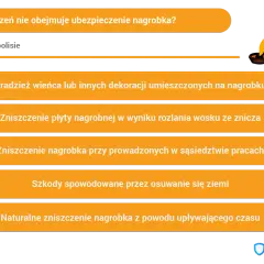 Wyłączenia ubezpieczenia nagrobka: kradzież dekoracji, zniszczenie woskiem, szkody od prac sąsiednich, osuwanie ziemi, naturalne zużycie.