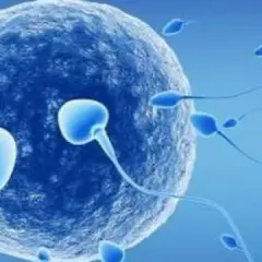 Czy dzieci z in vitro mają duszę? Kontrowersje i wierzenia w religiach