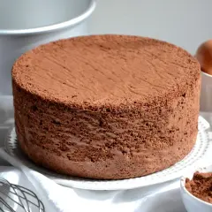 Un soffice pan di spagna al cacao, pronto per essere farcito. Ingredienti freschi come uova e cacao in polvere completano la scena.