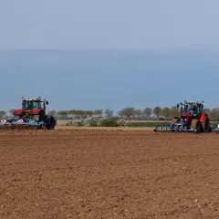 Deux tracteurs préparent le sol pour la culture du lin. Le champ est labouré, prêt pour les semis.