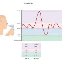 Ilustracja przedstawia badanie spirometria. Mężczyzna wykonuje pomiar objętości płuc za pomocą spirometru. Wykres pokazuje zmienność oddechu.