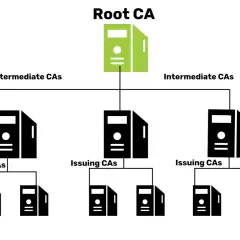 Hierarchia public key infrastructure: Root CA na szczycie, poniżej Intermediate CAs, a na dole Issuing CAs.