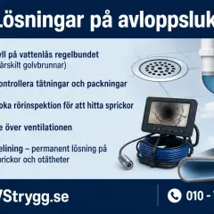 Hjälp att lösa problem med avloppslukt i huset. Bilden visar lösningar som att fylla på vattenlås, kontrollera tätningar, rörinspektion, ventilation och relining.