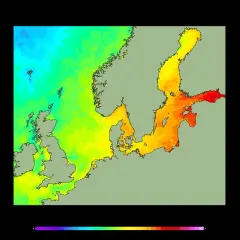 Temperatura wody w Bałtyku: Kiedy i gdzie jest najcieplej?