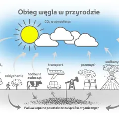 Czy wulkany emitują więcej CO2 niż człowiek? Wpływ wulkanów na klimat i emisje dwutlenku węgla
