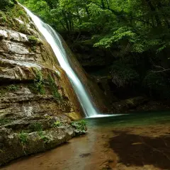 Le cascate dell'Acquacheta scendono su rocce muschiose in una foresta lussureggiante, creando un'oasi di pace.