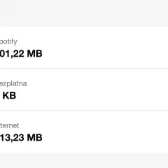 Dzisiaj Spotify zużyło 201,22 MB internetu. Całkowite zużycie danych to 313,23 MB.