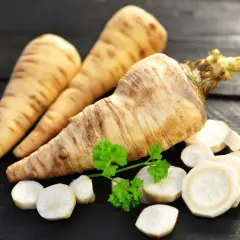 Pietruszka korzeń, świeża i pokrojona w plasterki, z gałązką natki, na ciemnym tle.