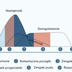 Wykres przedstawia fazy miłości: zakochanie, romantyczne początki, związek kompletny, związek przyjacielski, związek pusty i rozpad związku. Namiętność, intymność i zaangażowanie zmieniają się w czasie.