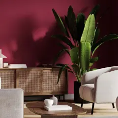 Elegancki salon z meblami w odcieniu burgundowym. Duża roślina w donicy obok jasnych foteli.