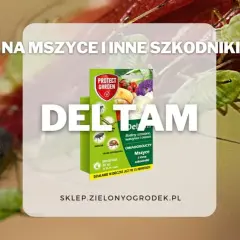 DELTAM insektycyd na mszyce i inne szkodniki. Opakowanie produktu Protect Garden. Działanie widoczne już po 15 minutach.