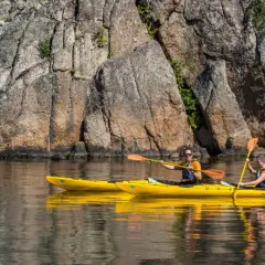Två personer paddlar varsin gul kajak längs en klippig kust. En härlig dag för upplevelser i Sverige.