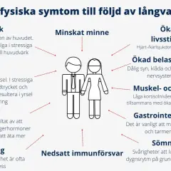 Negativa fysiska symptom vid långvarig ångest: huvudvärk, yrsel, aptitförändringar, utmattning, minskat minne, ökad risk för livsstilssjukdomar, belastning på ögonen, muskel- och skelettsmärta, magproblem, sömnstörningar och nedsatt immunförsvar.