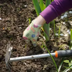Ręka w rękawiczce z kwiatami usuwa chwasty z ziemi. Obok leży motyczka.