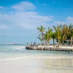 Piękna plaża z palmami i drewnianym molo. Zastanawiasz się, ile się leci na Zanzibar? To raj na ziemi!
