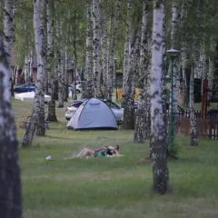 Relaks na trawie pod brzozami. Namiot i samochód na polu namiotowym. Idealne miejsce na **camping Dolny Śląsk**.