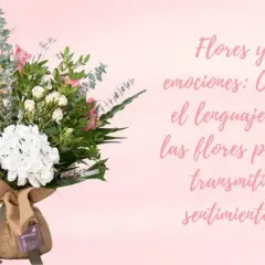 Un ramo de flores blancas y rosas, perfecto para soñar con flores y expresar emociones.