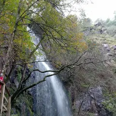 Mujer observa una impresionante cascada de agua caída en un entorno boscoso otoñal.
