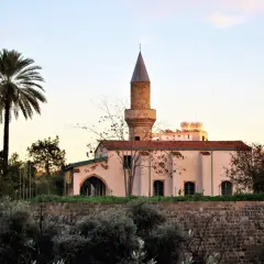 Minaret i meczet w Nikozji, stolicy Cypru, na tle palmy i zachodzącego słońca.