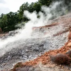 Fumarole di Monterotondo Marittimo emettono vapore su un pendio roccioso e arido, con vegetazione secca e alberi sullo sfondo.