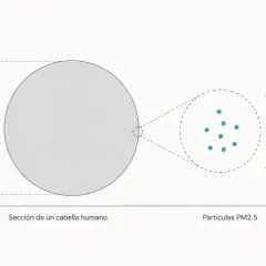 Comparación: un cabello humano (50-70 μm) y partículas PM2.5 (2,5 μm). Las partículas finas PM2.5 son diminutas.