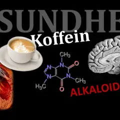 Herz, Gehirn und Kaffeetasse: Wie Koffein auf unseren Körper wirkt. Die chemische Formel zeigt, wie Koffein ziehen kann.
