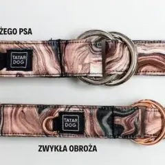 Jaką obrożę wybrać dla psa, aby zapewnić mu komfort i bezpieczeństwo?