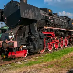 Najciekawsze atrakcje Kościerzyny, które musisz zobaczyć podczas wizyty