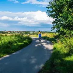 Osoba na rowerze przemierza malowniczą trasę velo natura, otoczoną zielenią pól i drzew, pod błękitnym niebem z chmurami.