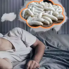Un joven duerme plácidamente, pero su mente parece soñar con lombrices blancas y jugosas, un sueño inquietante.