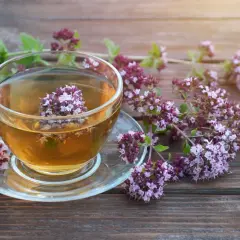 Aromatyczna herbata z oregano w szklanej filiżance, otoczona świeżymi gałązkami. Gdzie kupić tę cudowną herbatę?