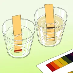 Deux bandelettes réactives dans des verres d'eau pour mesurer le ph, avec une palette de couleurs à côté.
